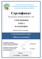 Сертификат Стрельченко О. В.