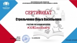 Сертификат Стрельченко Ольги
