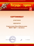 Сертификат-Стрельченко-О.В.